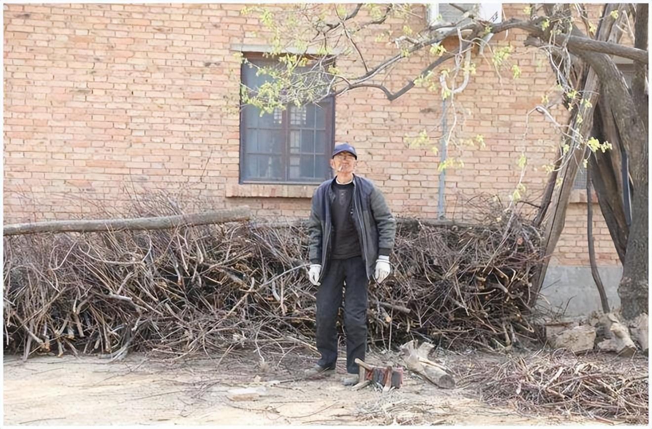 解毒奇人王二民村民.jpeg 解毒奇人王二民村民.jpeg